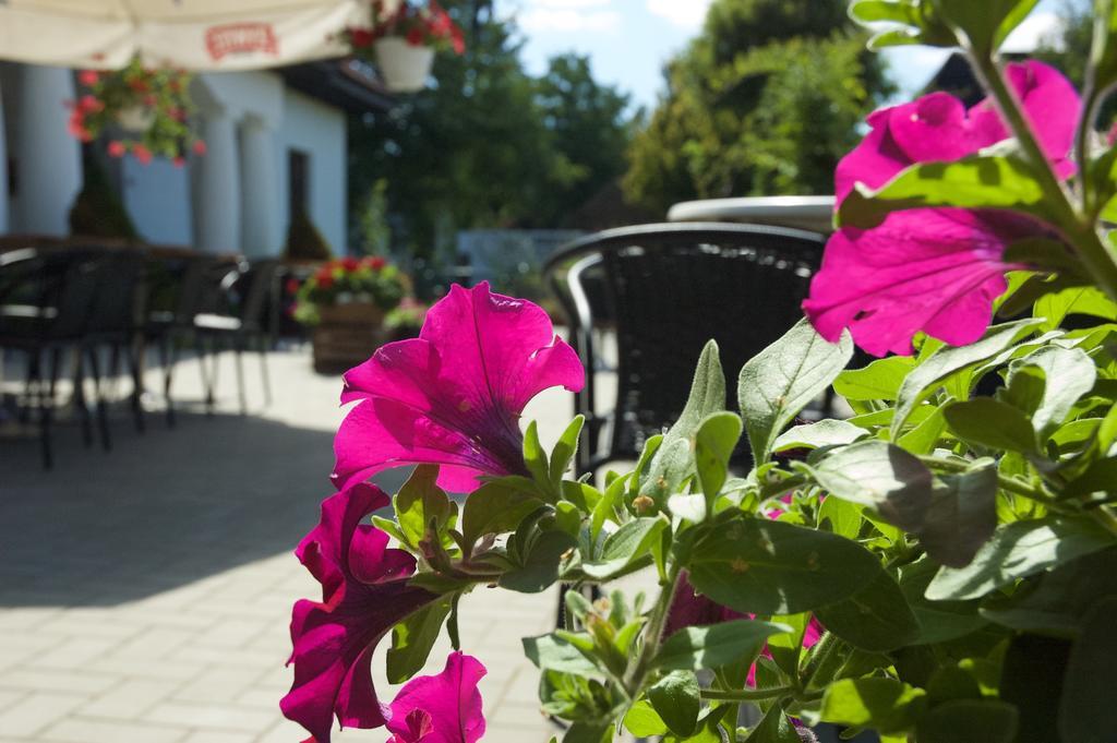 Hotel Wenus Kazimierz Dolny Εξωτερικό φωτογραφία
